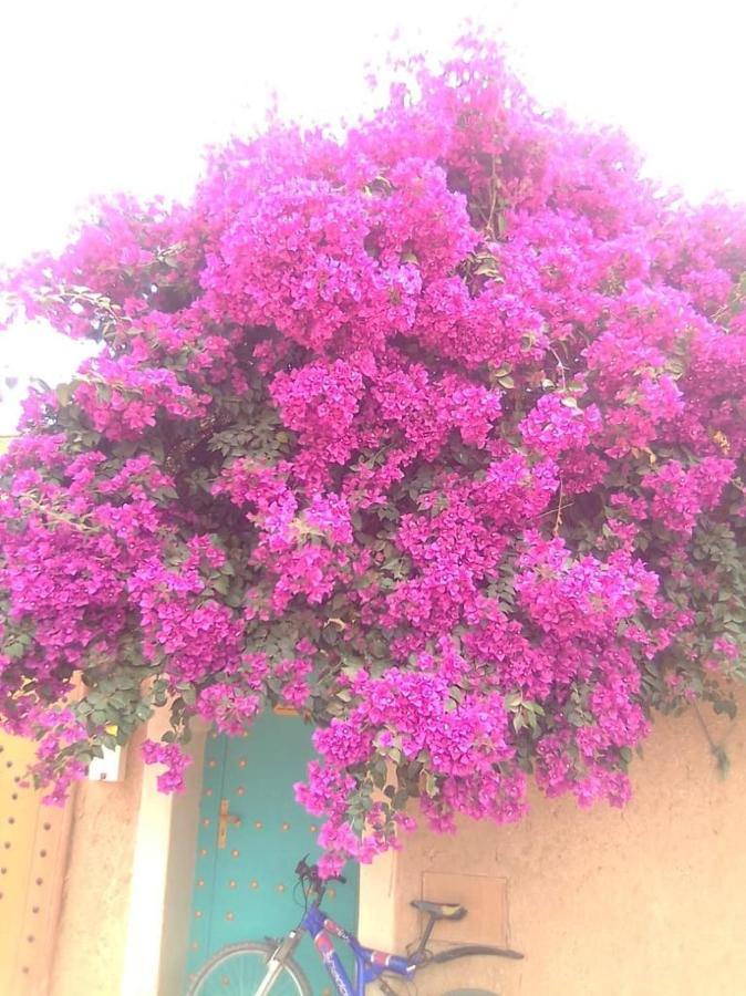 Riad Zidania Taroudant Exteriér fotografie